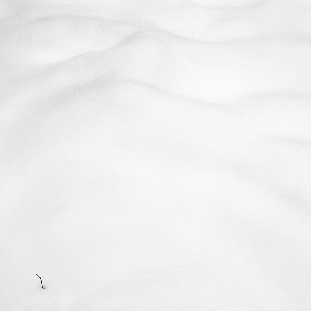 Eduard Stogovi loodusfoto