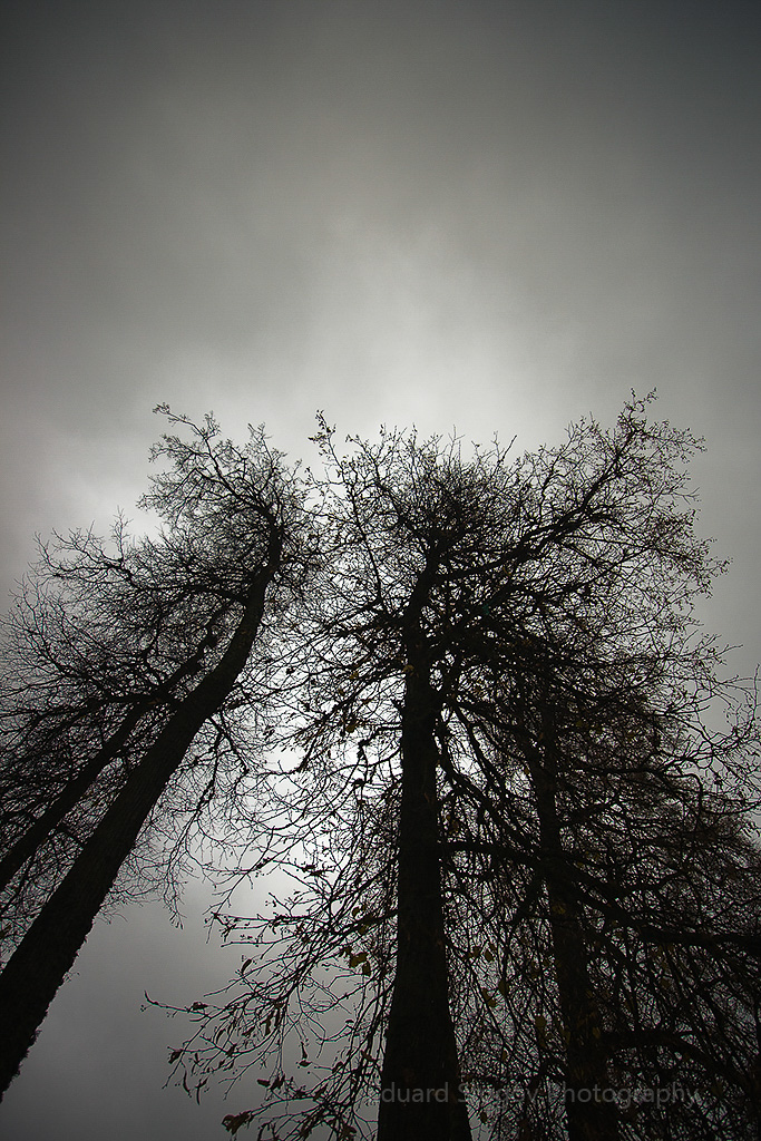 Eduard Stogovi loodusfoto