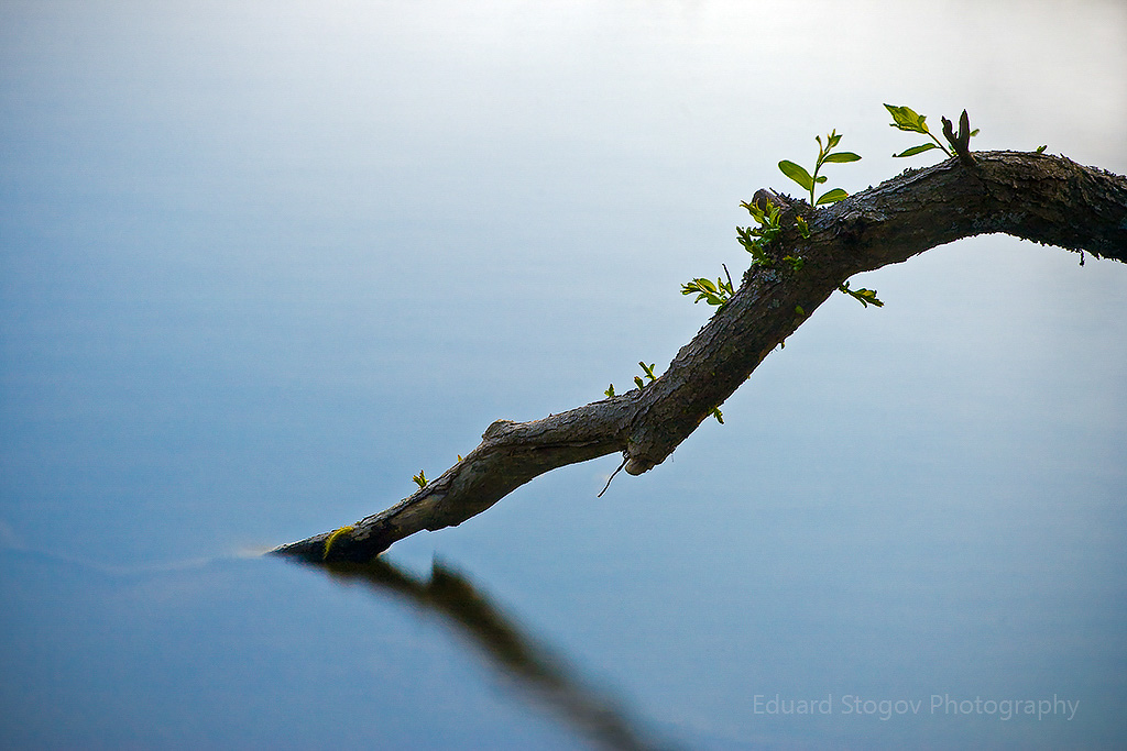 Eduard Stogovi loodusfoto